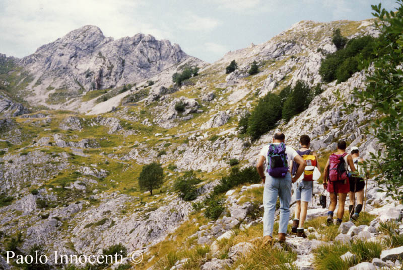 SULLA VIA VANDELLI VERSO IL PASSO DELLA TAMBURA